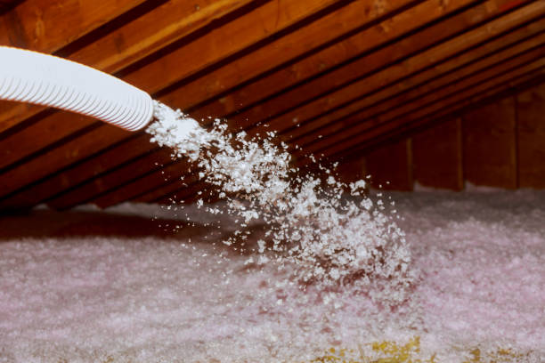 Best Specialty Insulation in Lakeland Village, CA