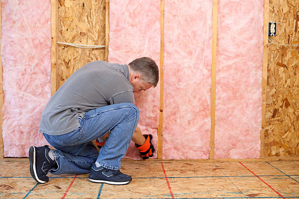 Best Insulation for Specific Applications in Lakeland Village, CA